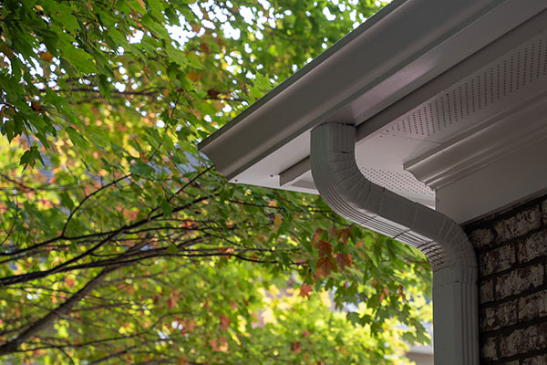 Gutter Replacement Services